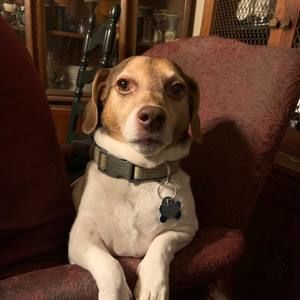 Meet your Posher, Karina